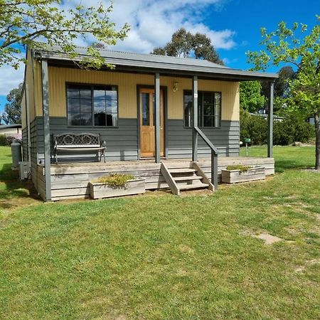 Mansfield Holiday Park Bagian luar foto