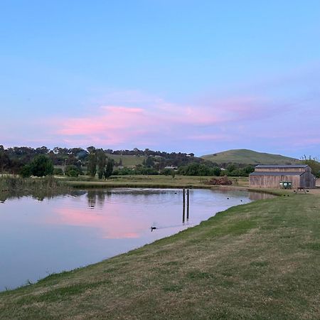 Mansfield Holiday Park Bagian luar foto